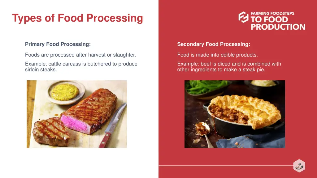 types of food processing