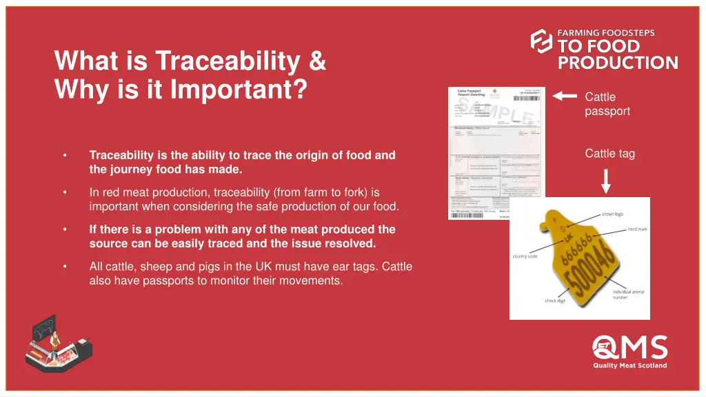 what is traceability why is it important