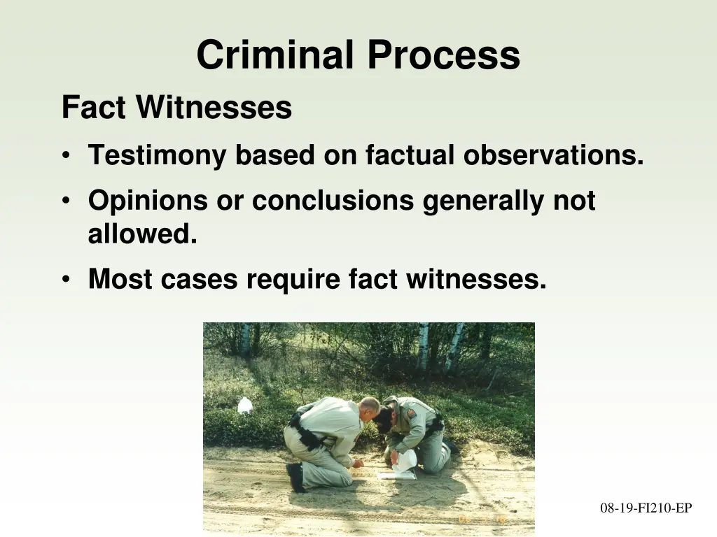 criminal process fact witnesses testimony based