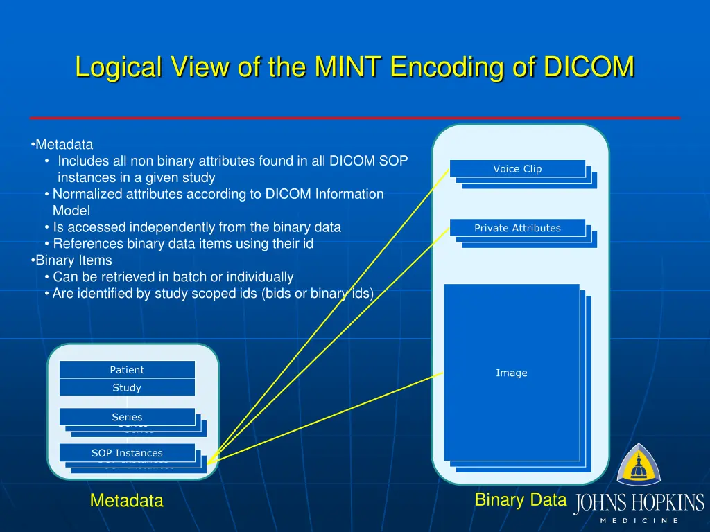 logical view of the mint encoding of dicom