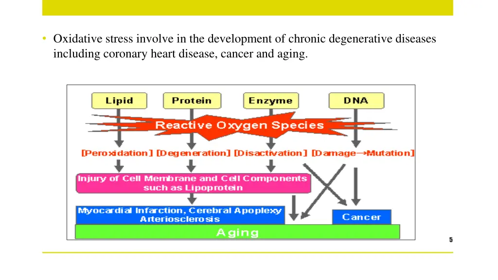 oxidative stress involve in the development