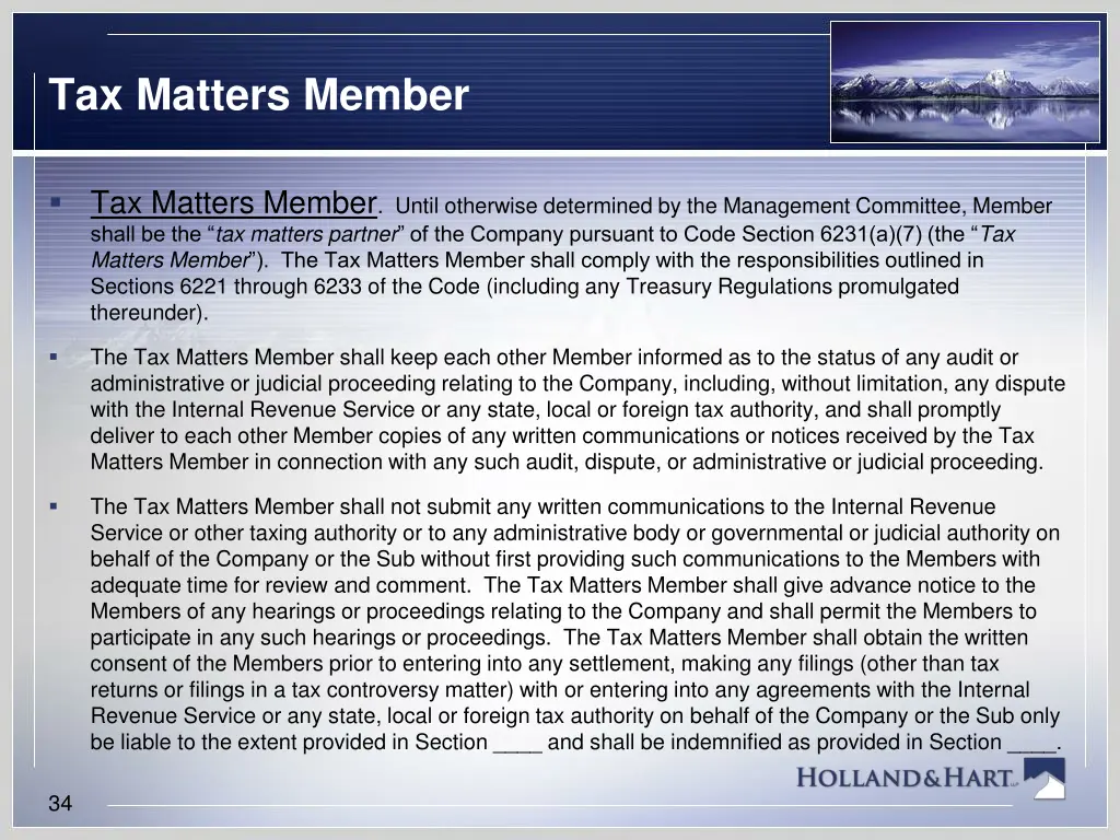 tax matters member