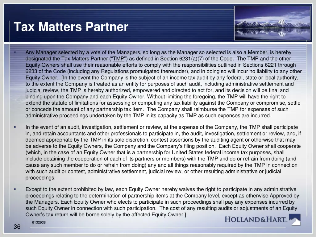 tax matters partner