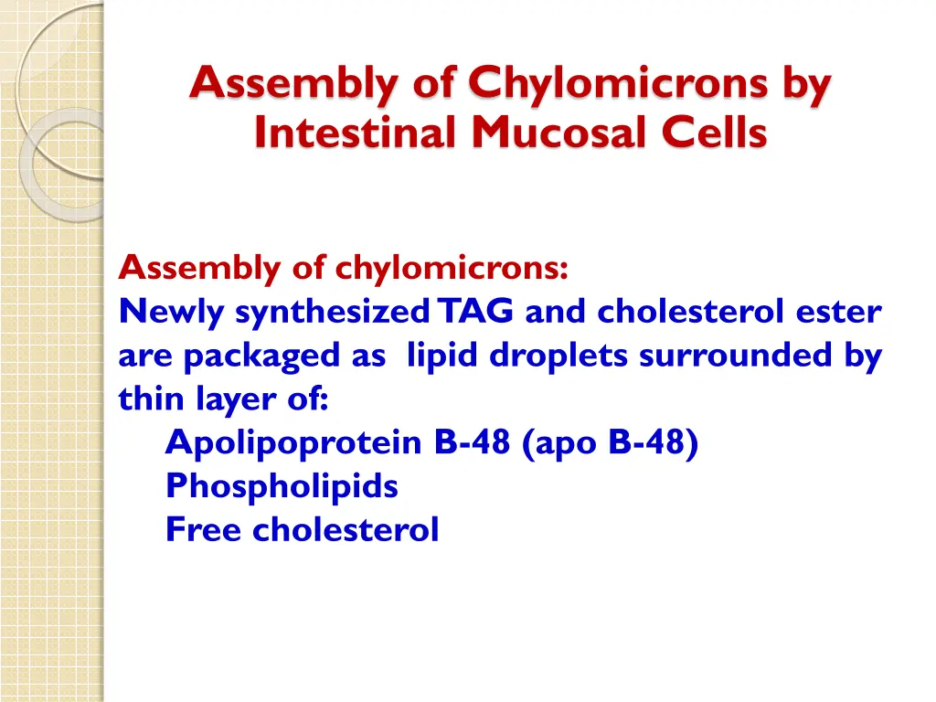 assembly of chylomicrons by intestinal mucosal