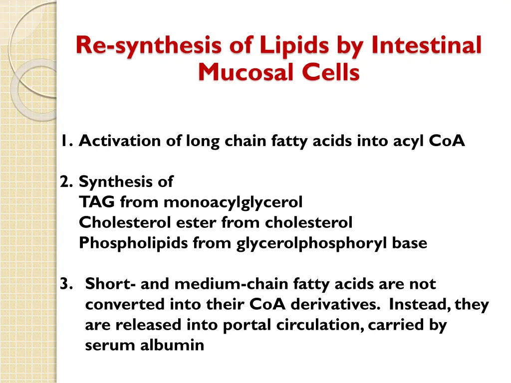 re synthesis of lipids by intestinal mucosal cells