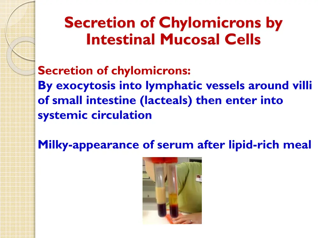 secretion of chylomicrons by intestinal mucosal