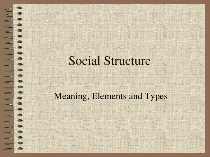 social structure