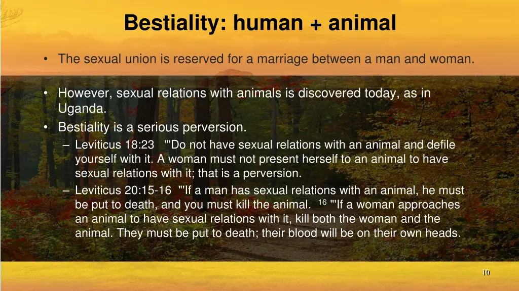 bestiality human animal