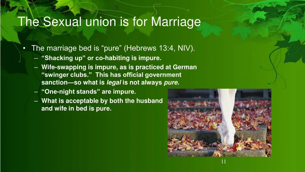 the sexual union is for marriage