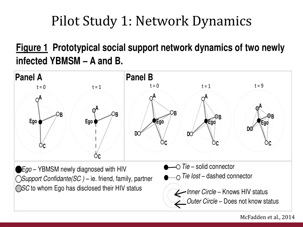 pilot study 1 network dynamics