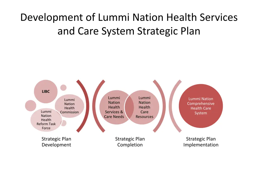 development of lummi nation health services