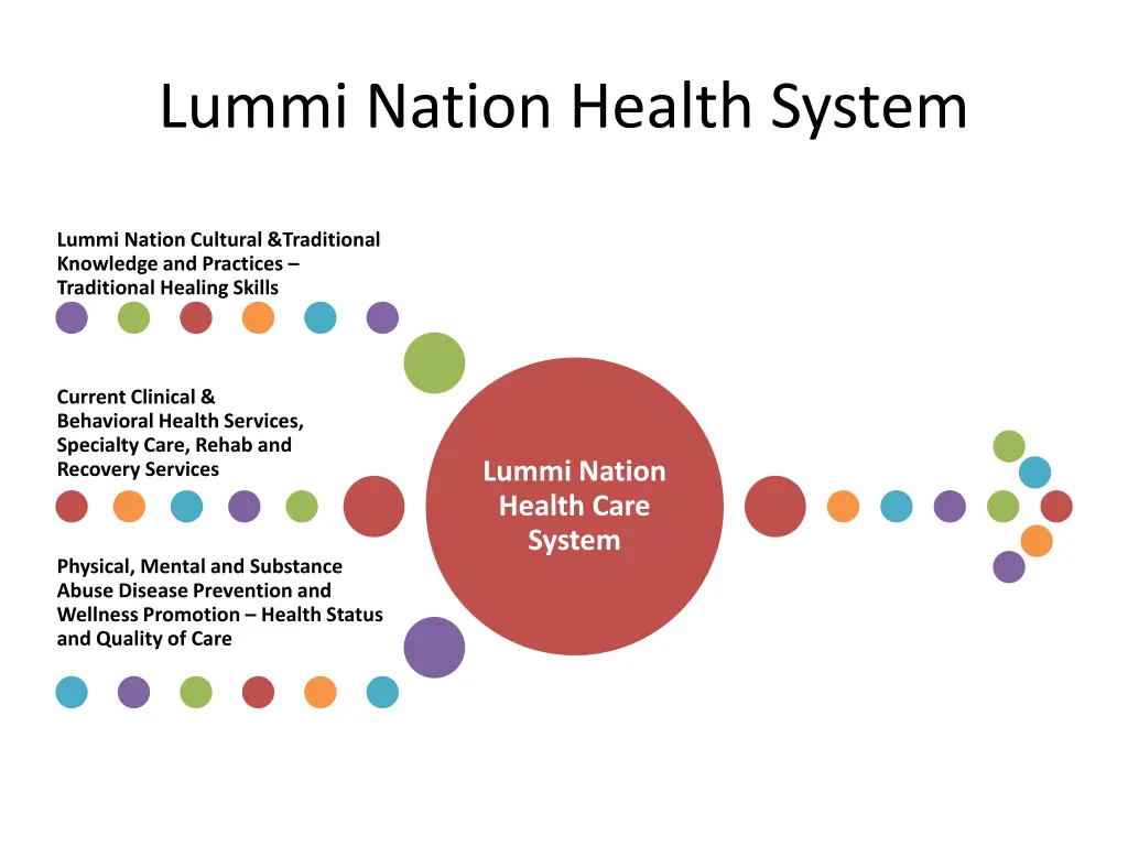 lummi nation health system