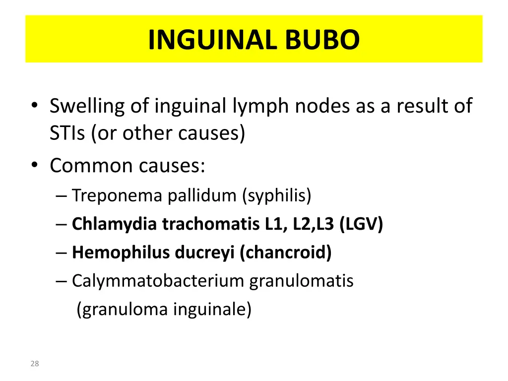 inguinal bubo