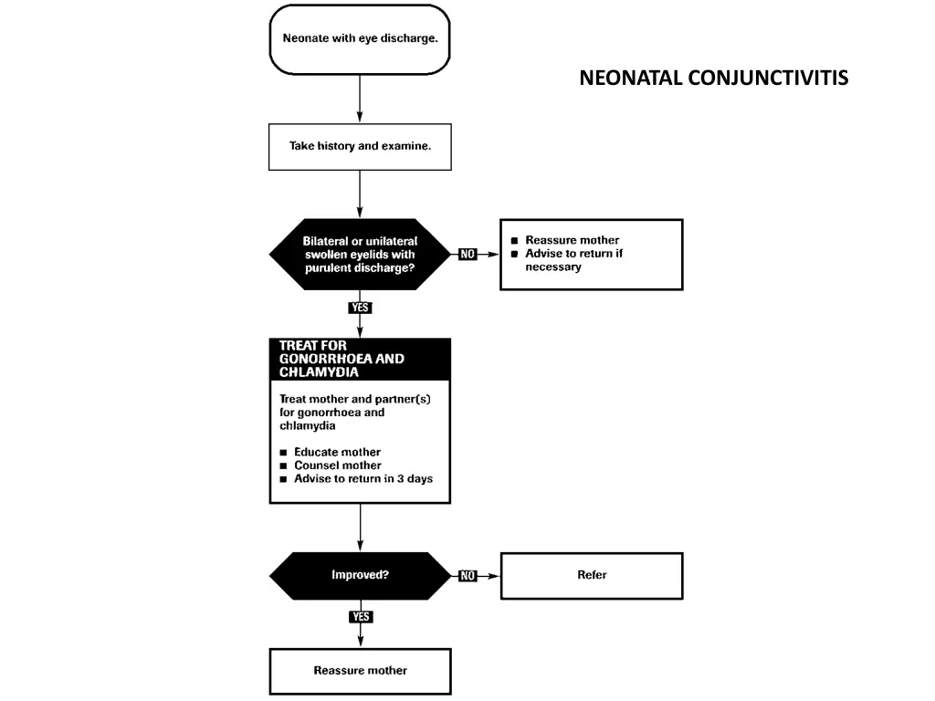 neonatal conjunctivitis