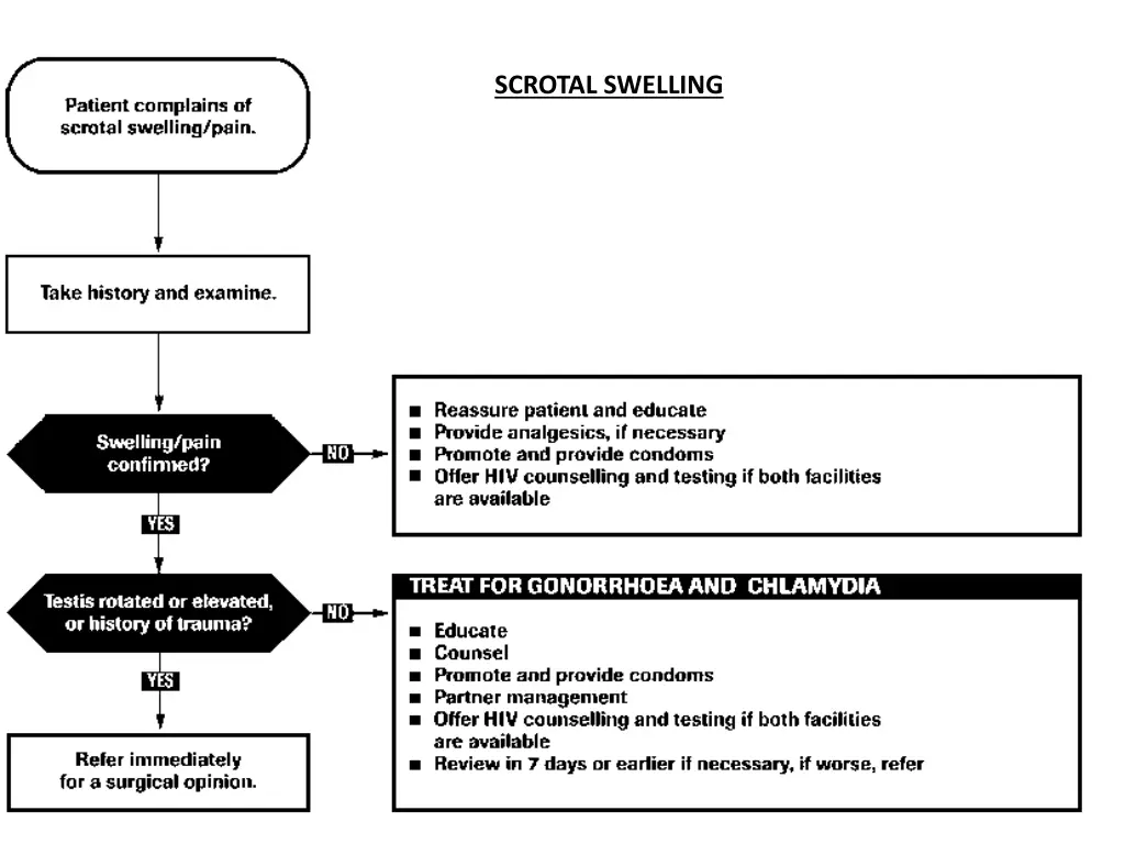 scrotal swelling