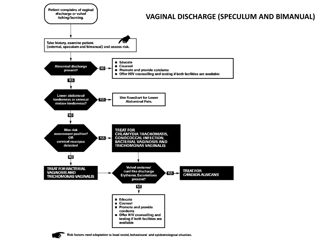 vaginal discharge speculum and blmanual