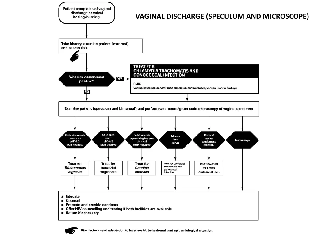 vaginal discharge speculum and microscope