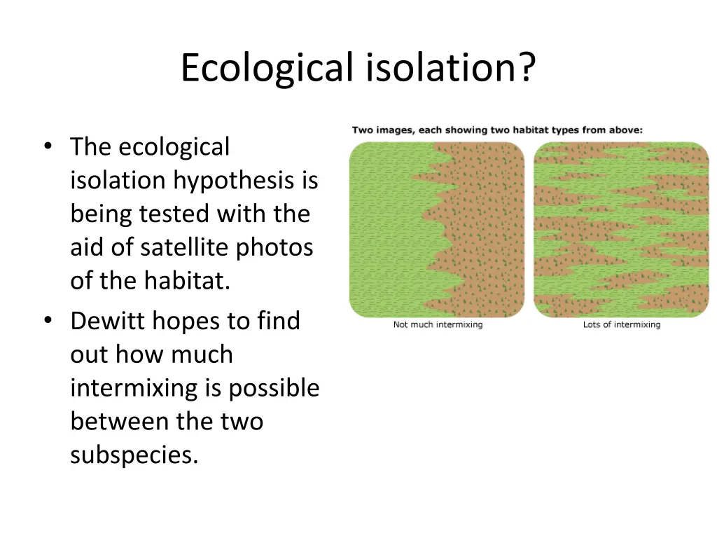 ecological isolation