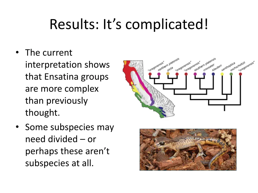 results it s complicated