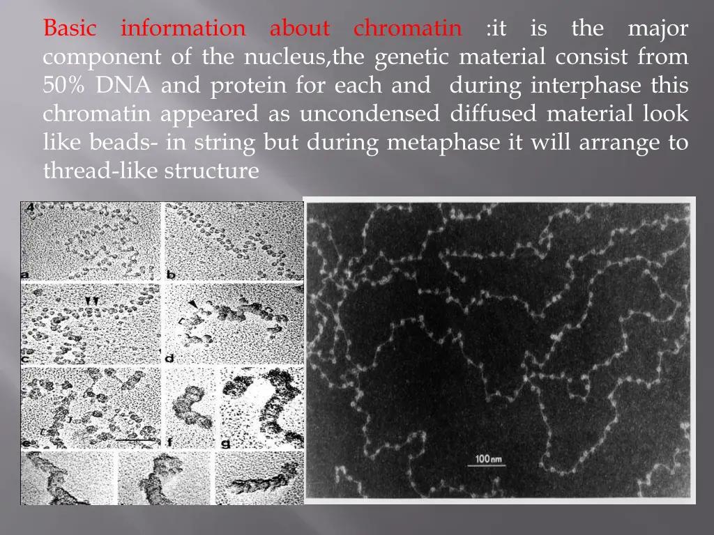 basic information about chromatin it is the major