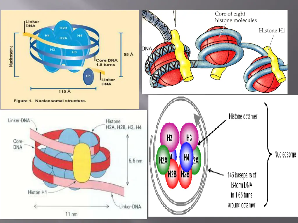 slide14