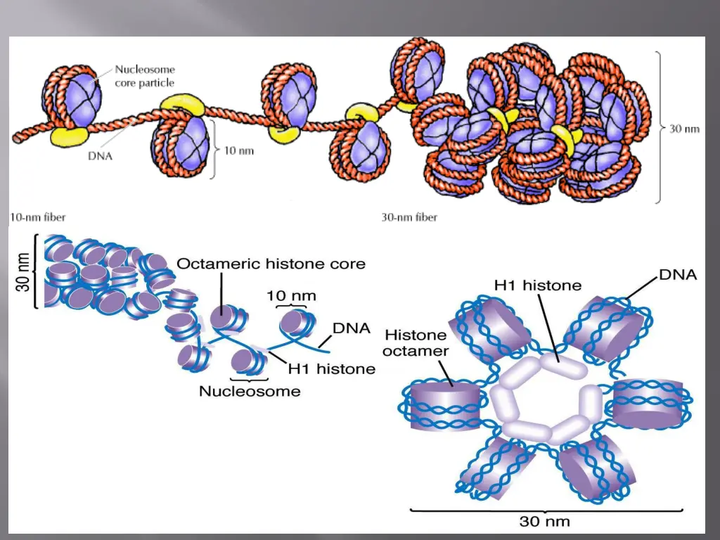 slide15