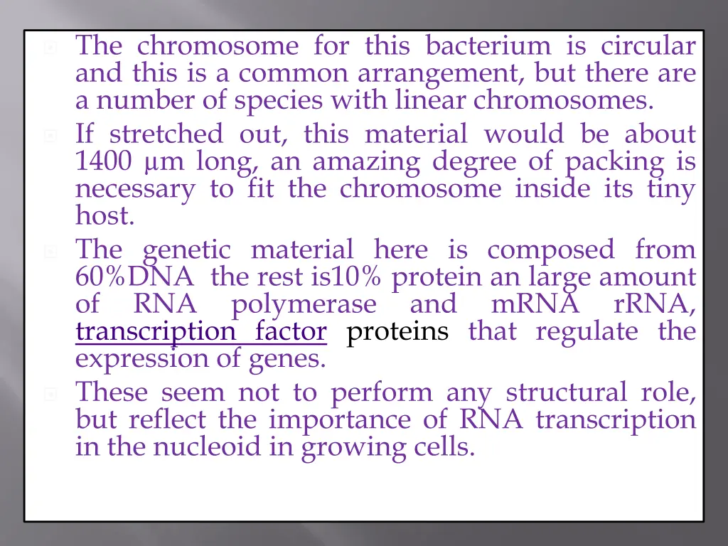 the chromosome for this bacterium is circular