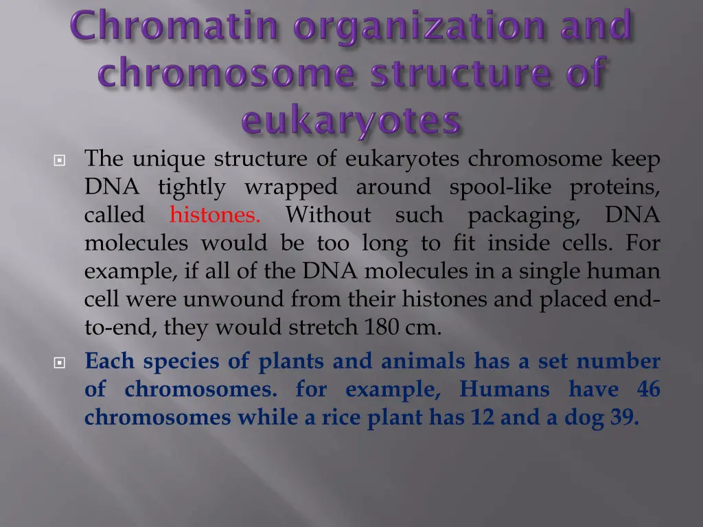 the unique structure of eukaryotes chromosome