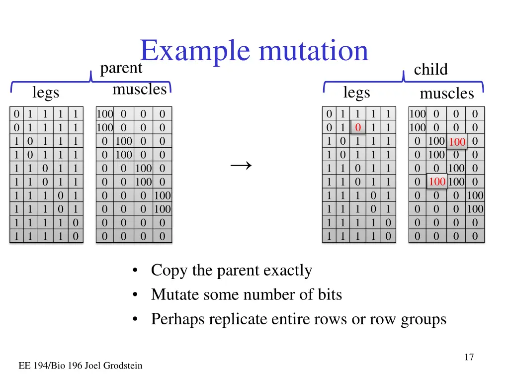 example mutation parent