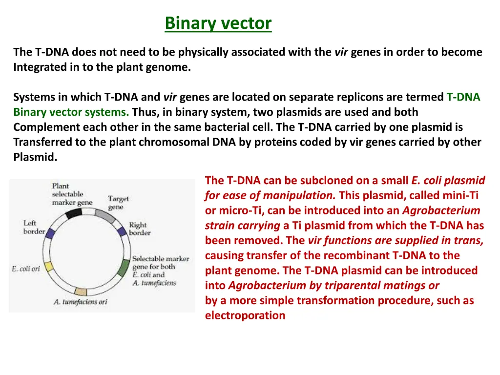 binary vector