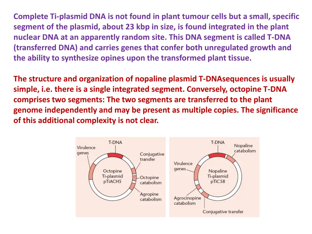 complete ti plasmid dna is not found in plant