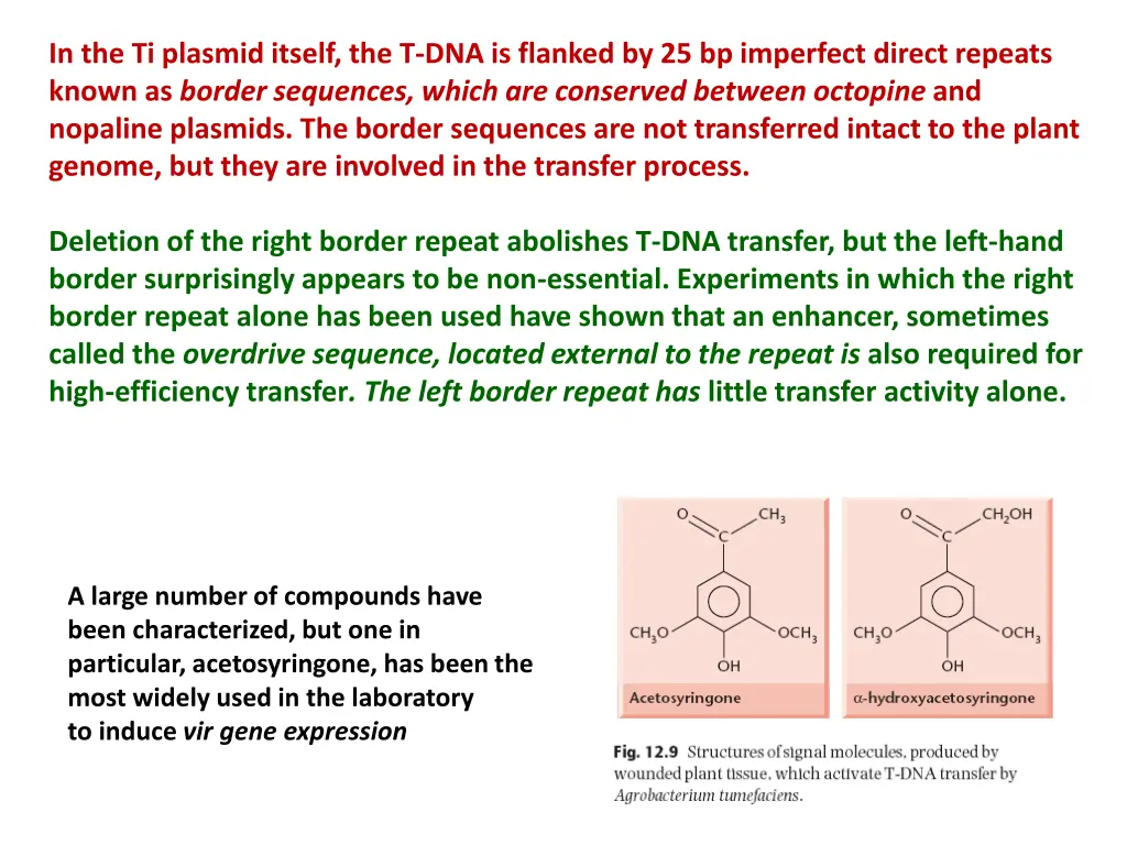 in the ti plasmid itself the t dna is flanked