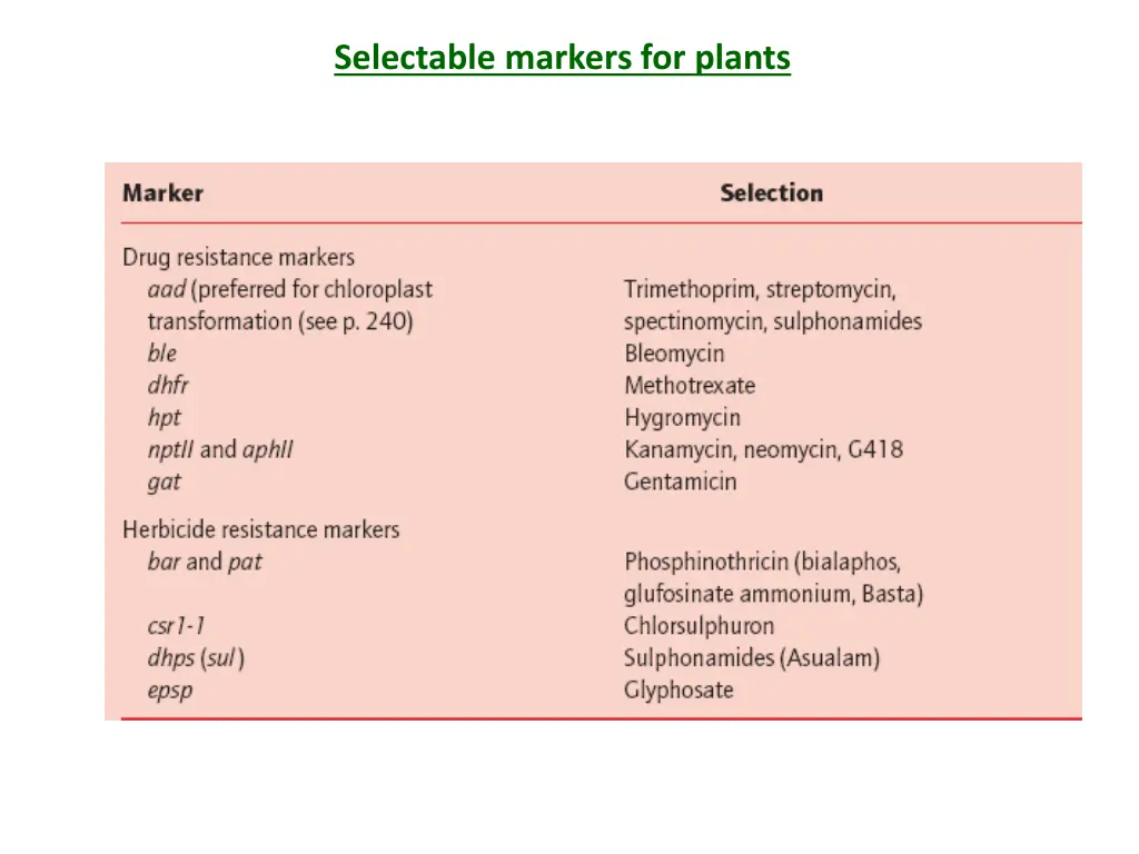 selectable markers for plants