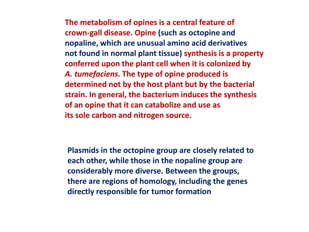 the metabolism of opines is a central feature