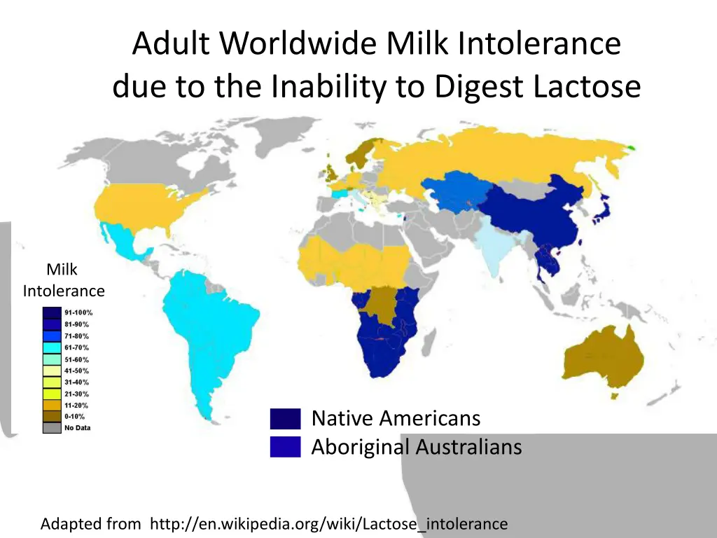 adult worldwide milk intolerance