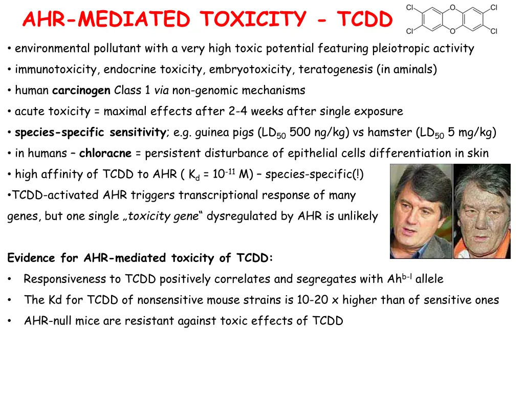 ahr mediated toxicity tcdd