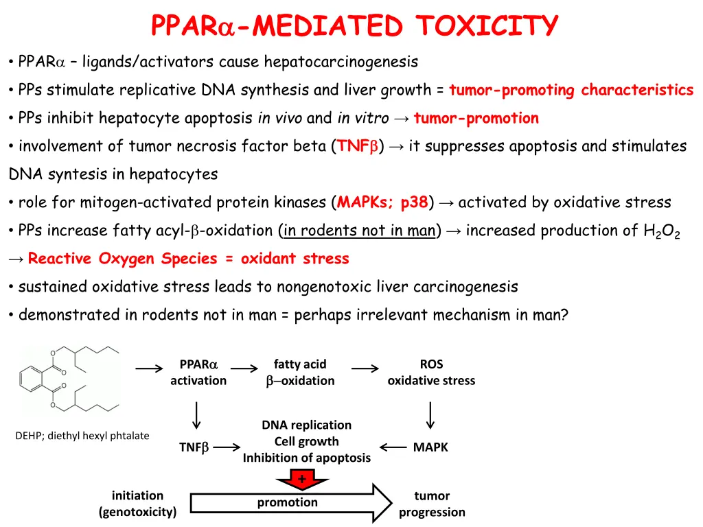 ppar mediated toxicity ppar ligands activators