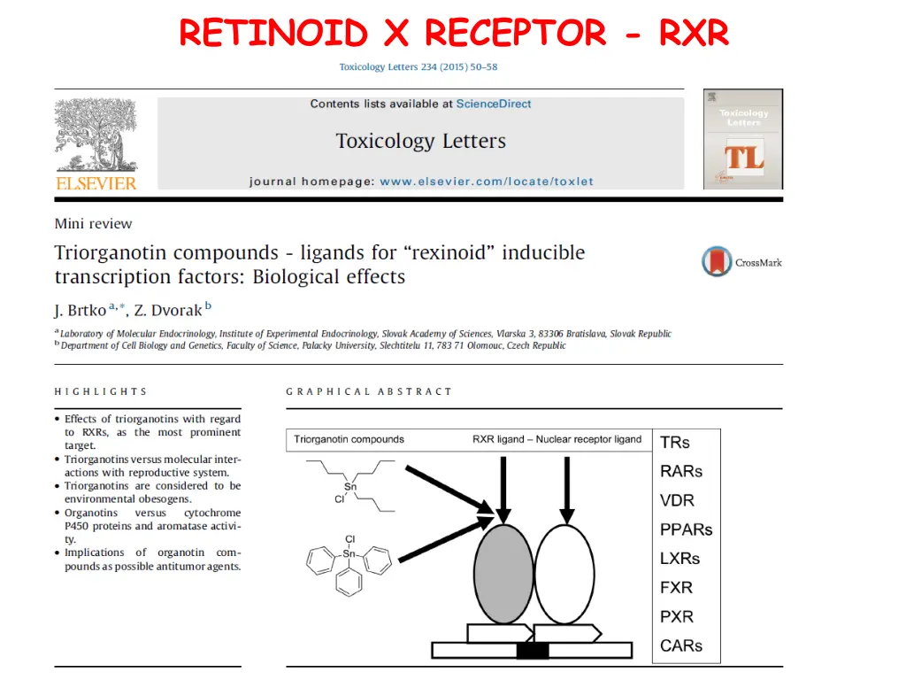 retinoid x receptor rxr