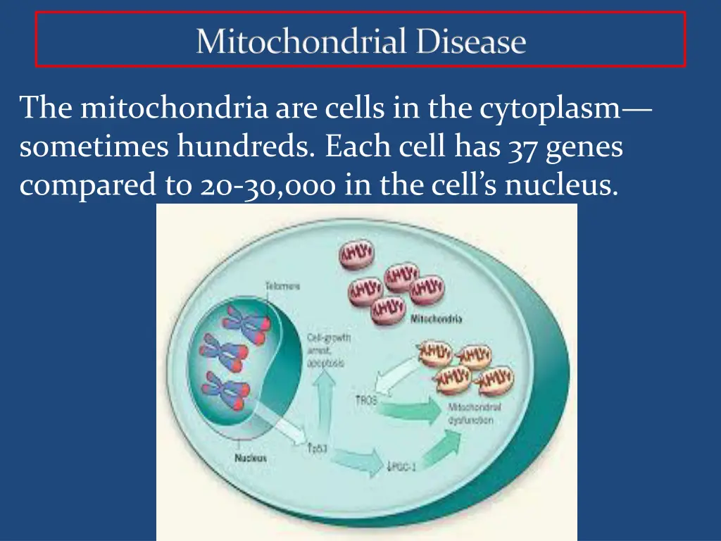 mitochondrial disease