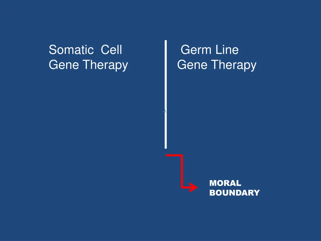 somatic cell gene therapy