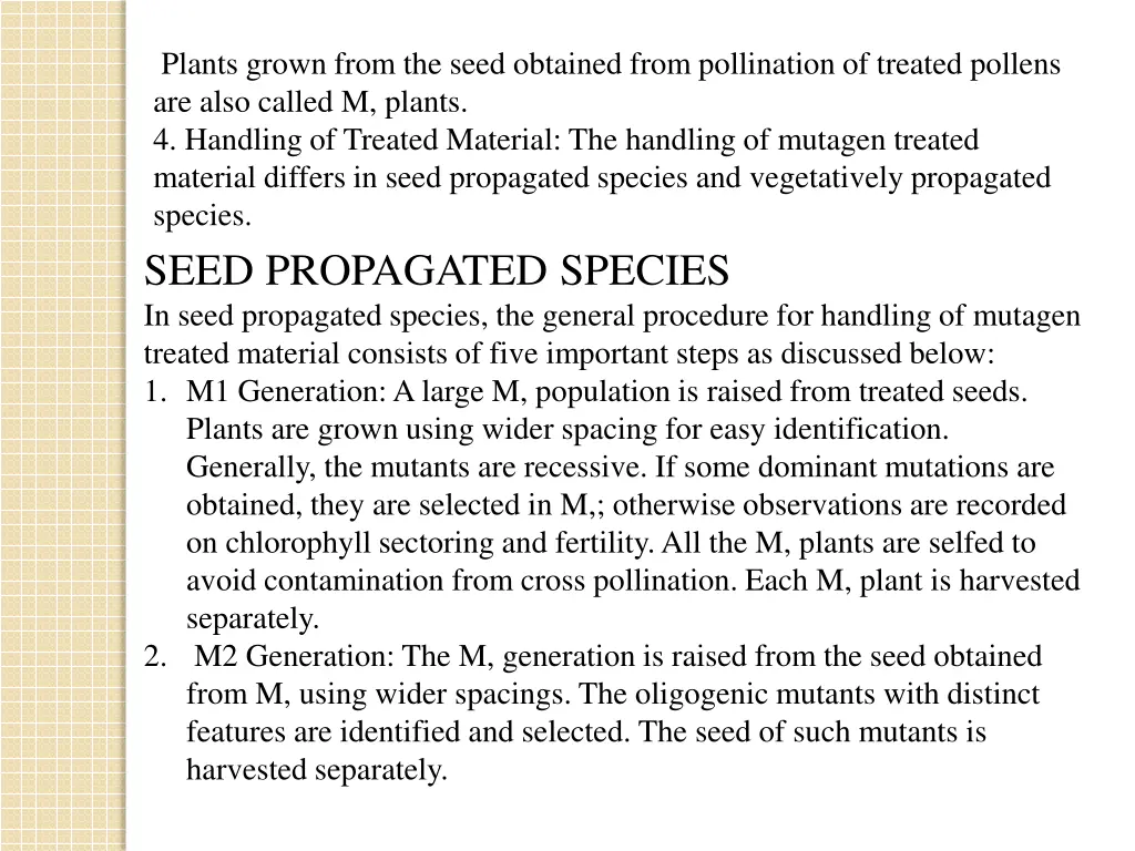 plants grown from the seed obtained from