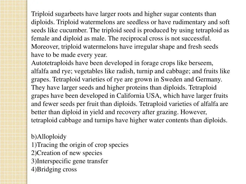 triploid sugarbeets have larger roots and higher