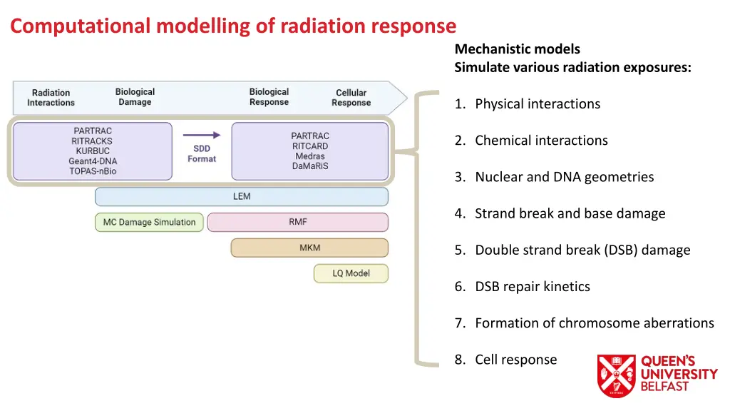 computational modelling of radiation response