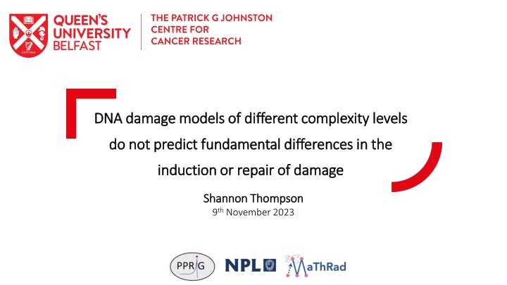 dna damage models of different complexity levels