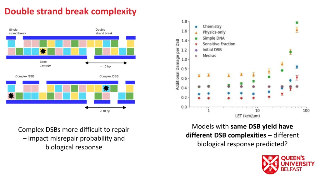 double strand break complexity