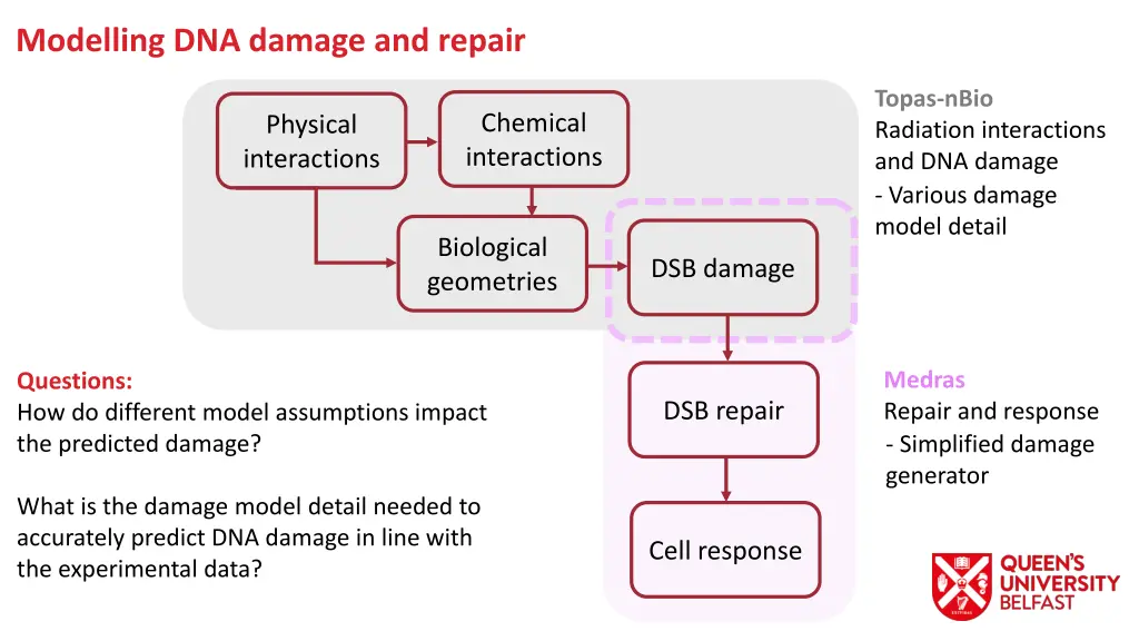 modelling dna damage and repair 1