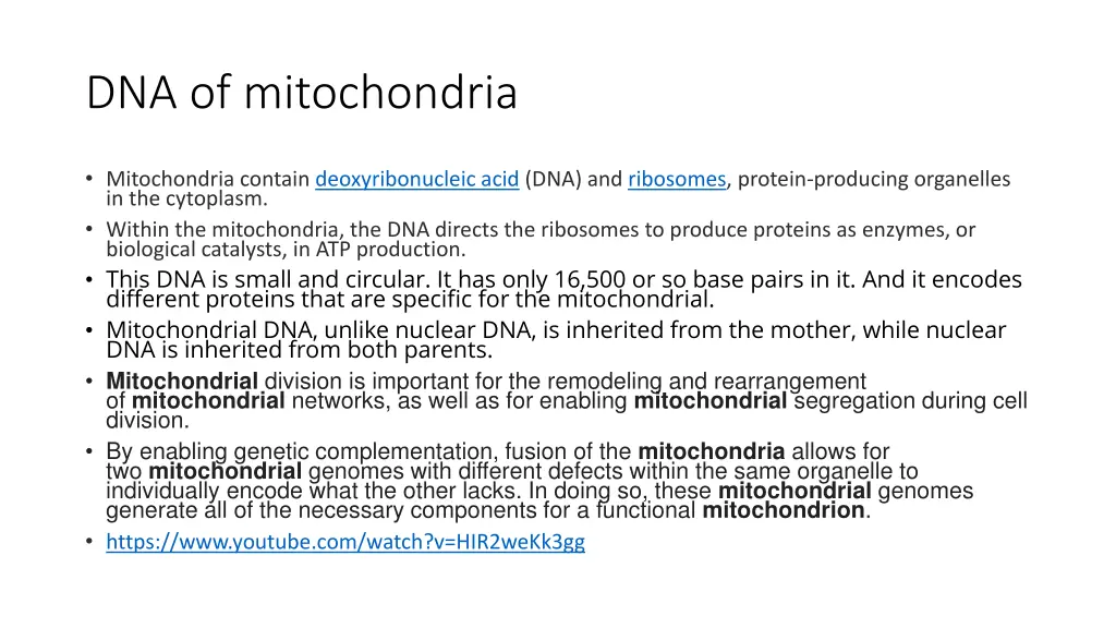 dna of mitochondria