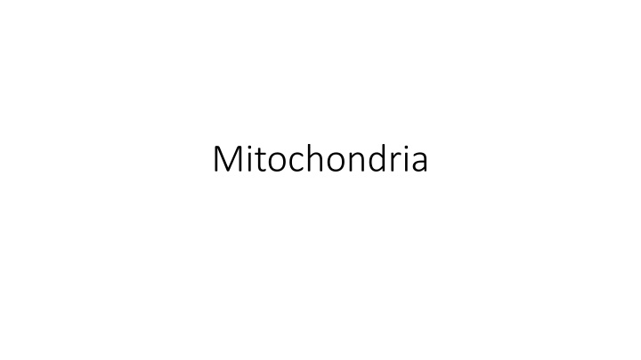 mitochondria