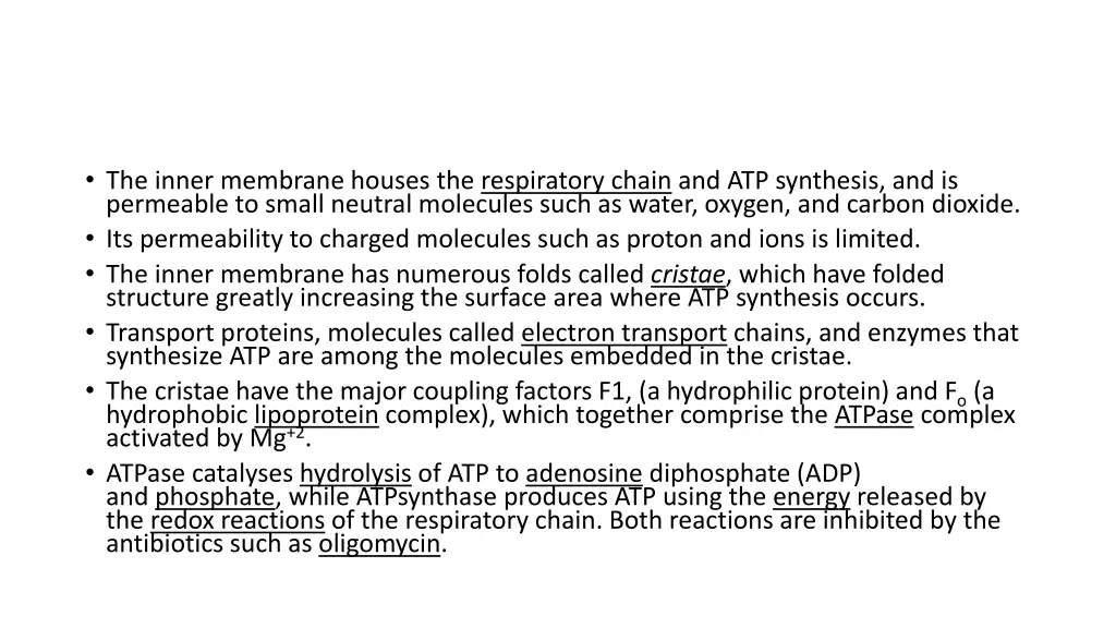 the inner membrane houses the respiratory chain