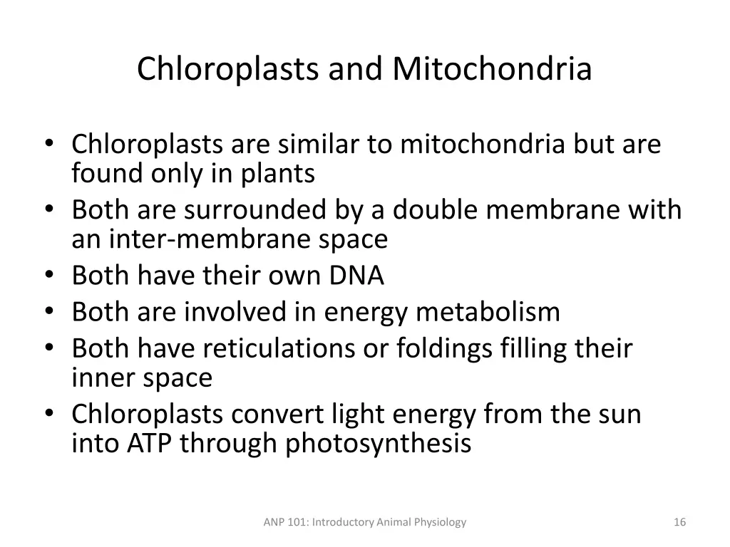 chloroplasts and mitochondria